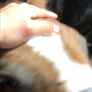 Meet your Posher, Marco